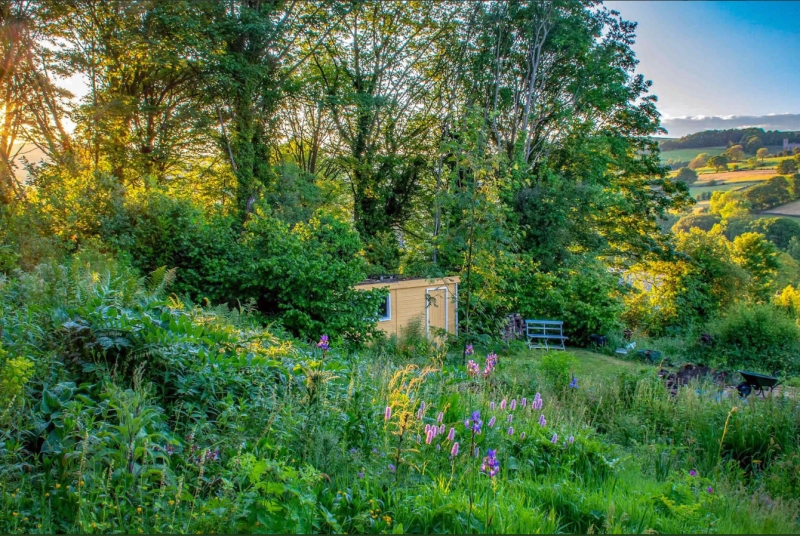 Bramblewood Cottage